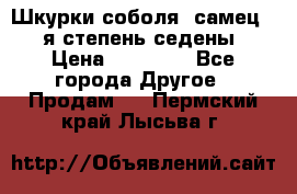 Шкурки соболя (самец) 1-я степень седены › Цена ­ 12 000 - Все города Другое » Продам   . Пермский край,Лысьва г.